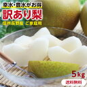 【送料無料】訳あり 梨 5kg 長野県産 幸水 or 豊水 ...