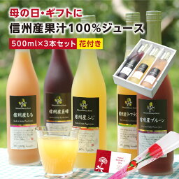 【送料無料】母の日 信州産 100％果物ジュース 3本 ギフト 花セット あす楽 国産原料のみ | 選べるギフト りんごジュース プルーンジュース ももジュース 洋なしジュース 王林 ストレートジュース含む 内祝 お祝い お礼 出産祝い 詰め合わせ ジュースセット プレゼント 2024