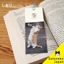 1500円で送料無料【ネコ しおり 祈り 茶トラ猫】猫グッズ...