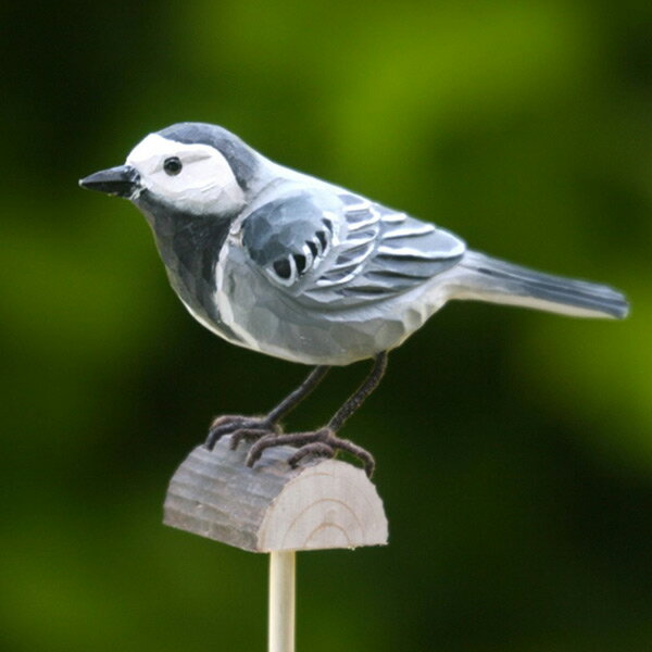 yK[fjOzyG݁zfRo[h3ǂ̎qIԁIHVWEJEnNZLCESVLq̎ؐ̏BykzyXEF[fzyyMt_zyRCPz