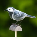 「デコバード 3種」