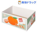 にゃんボール みかん箱(1コ入)