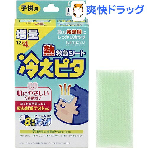 冷えピタ 子供用 増量(16枚入)【冷えピタ】[冷却シート 熱さまし ライオン 冷却シート…...:soukai:10370466