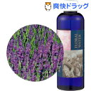 生活の木 フローラルウォーター ラベンダー(200mL)【生活の木】【送料無料】