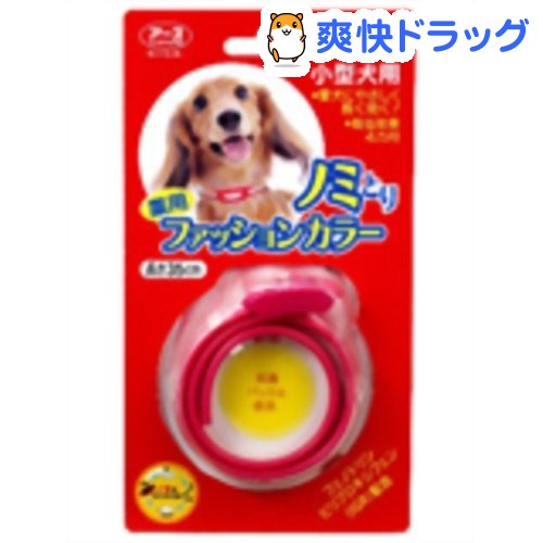 薬用ノミとりファッションカラー 小型犬用(1コ入)