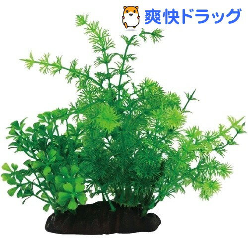 ビバリア あわせ水草 C(1コ入)【ビバリア】