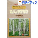 OSK カバノアナタケ(5g*32袋入)【送料無料】