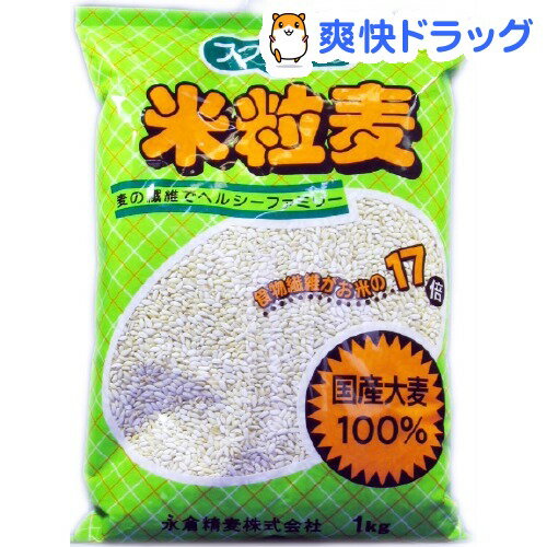 եեγ 1kgǹ3150߰ʾ̵