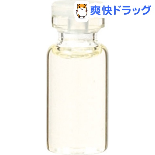 エッセンシャルオイル ペパーミント(3mL)【生活の木 エッセンシャルオイル】[アロマオイ…...:soukai:10072063