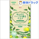 三次元 ほんのりハーブが香るマスク ベルガモットの香り(3枚入)【三次元マスク】