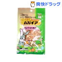 フルーツ王国パパイア(80g)[小動物 おやつ]