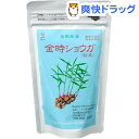 金時ショウガ 粉末(100g)【送料無料】