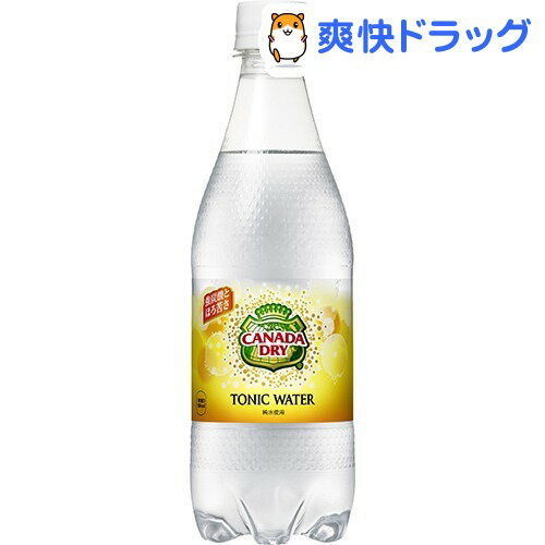 カナダドライ トニックウォーター 炭酸水(500mL*24本入)【カナダドライ】[炭酸飲料]