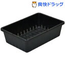 育苗コンテナー 6型 ブラック(1コ入)