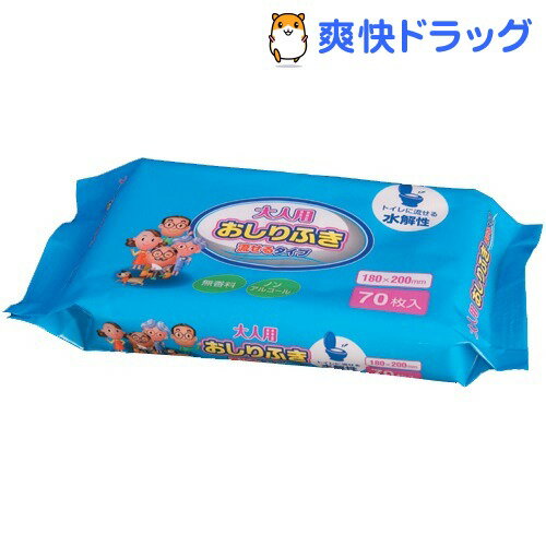 大人用おしりふき 流せるタイプ(70枚入)大人用おしりふき 流せるタイプ★税込1980円以上で送料無料★