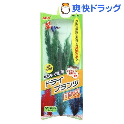ドライプランツ ロング ライトグリーン DPL-01(1コ入)[熱帯魚 アクアリウム 水草]