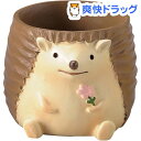 グリーンハウス ミニミニレジンポット 3770-C ハリネズミ(1コ入)【グリーンハウス(ガーデニング用品)】