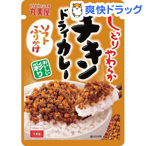 ソフトふりかけ チキンドライカレー(28.8g)【ソフトふりかけ】