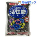 アミノール化学研究所 活性炭(1L)