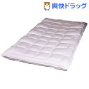 ダンフィル ドライウォーターベッド デラックス(1
