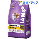 アイムス 子猫用 うまみチキン味(1kg)【アイムス】[キャットフード ドライ]