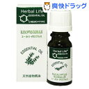 エッセンシャルオイル ユーカリ・グロブルス(10mL)【生活の木 エッセンシャルオイル】[アロマオイル]