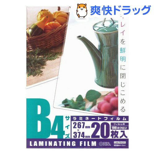 100ミクロン ラミフィルム B4 LAM-FB4203(20枚入)