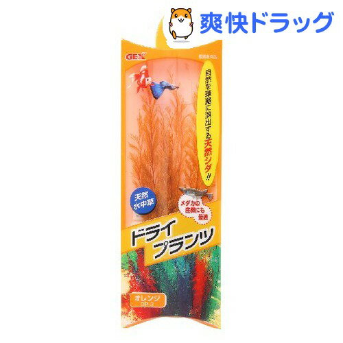 ドライプランツ オレンジ DP-3(1コ入)[熱帯魚 アクアリウム 水草]