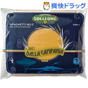 ¥½¥ë¡¦¥ì¥ª¡¼¥Í ¥×¥í¸æÍÑ㥹¥Ñ¥²¥Ã¥Æ¥£ No.5 1.7mm(5kg)¡Ú¥½¥ë¡¦¥ì¥ª¡¼¥Í(SOLLEONE)¡Û¡ÚÁ÷ÎÁ̵ÎÁ¡Û