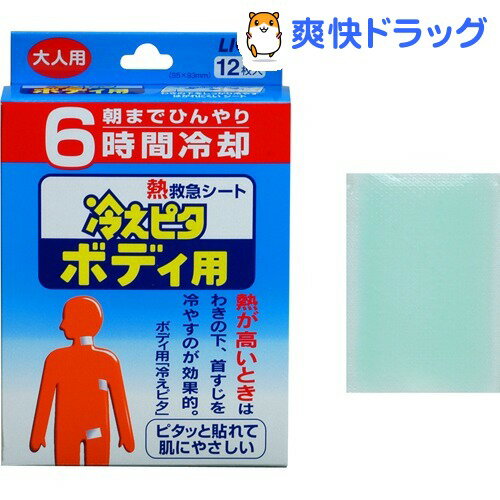 冷えピタ ボディ用 大人用(12枚入)【冷えピタ】[冷却パック]