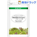 ECLECTIC(エクレクティック)INSTITUTE ブラ...