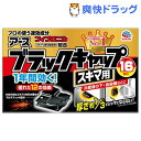 ブラックキャップ スキマ用(16コ入)【ブラックキャップ】