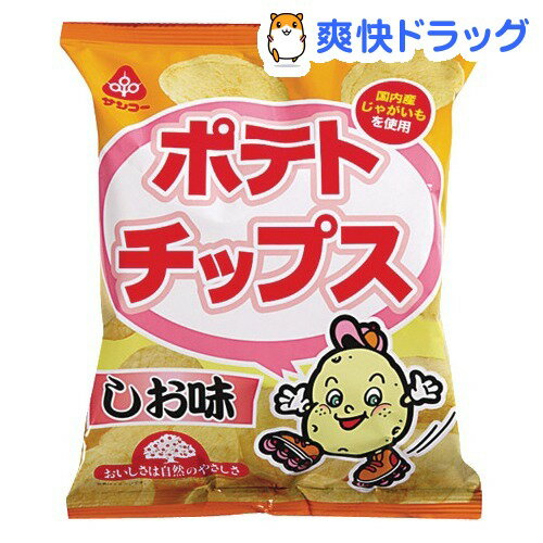 サンコー ポテトチップス しお味(65g)