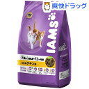 アイムス 子猫用 うまみチキン味(3kg)【アイムス】[キャットフード ドライ]