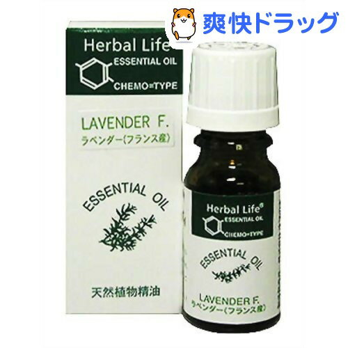 クーポンで10%オフ★エッセンシャルオイル ラベンダー(フランス産)(10mL)【生活の木 エッセンシャルオイル】[アロマオイル]【8/15 10:00-23:59までクーポン利用で5000円以上10%オフ】