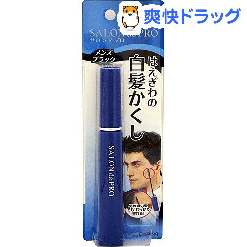 サロンドプロ はえぎわの白髪かくし メンズブラック(15mL)【サロンドプロ】[男性用 ヘアカラー]