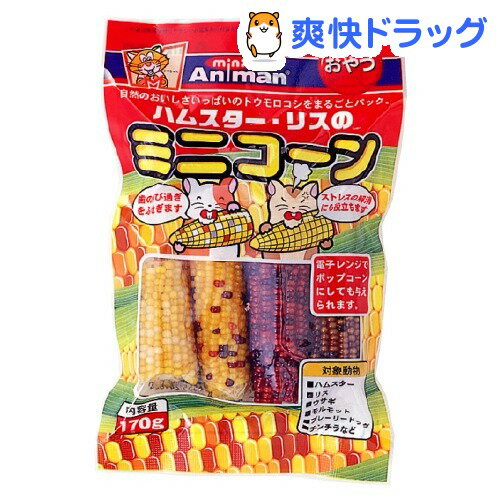 ミニコーン(170g)[小動物 おやつ]ミニコーン / 小動物 おやつ★税込1980円以上で送料無料★