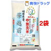 平成25年度産 あらったくん 福井県産華越前(5kg*2コセット)