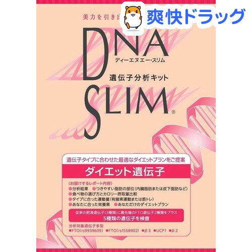 DNAスリム ダイエット遺伝子分析キット 口腔粘膜用(1コ入)【送料無料】