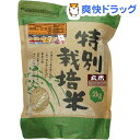 ムソー 特別栽培米 新篠津あやひめ 玄米(2kg)