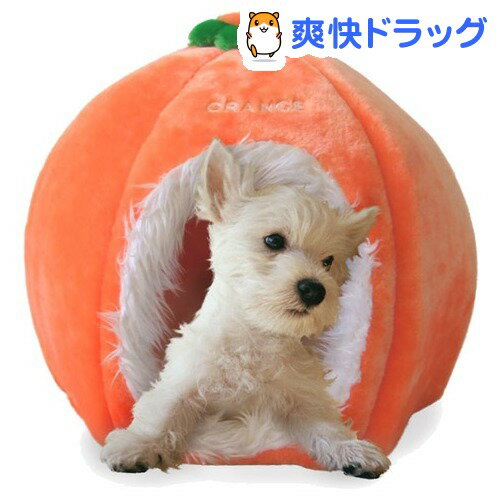 ں߸˸¤ۥڥå/ڥåĥ롼 ե롼ĤǤ䤹  1...