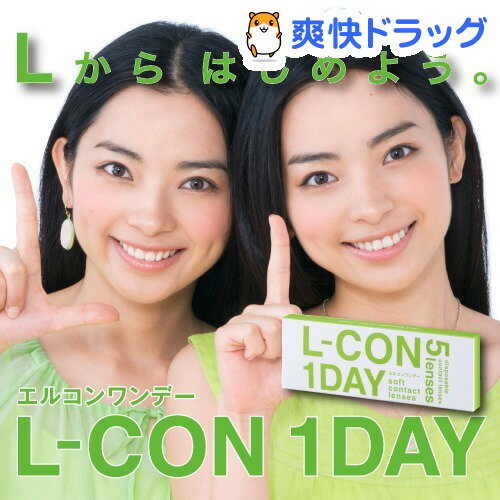 CTL/GRf[ BC8.70 x-3.00(5)yHLS_DUz /yGRf[z[R^NgY 1day 1ĝ]