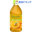 伊藤園 ティーズティー NEW AUTHENTIC 生オレンジティー(500ml*24本入)【ティーズティー(TEAS’TEA)】