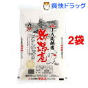 平成29年度産 おくさま印 新潟県産こしいぶき(5kg*2コセット)【おくさま印】【送料無料】