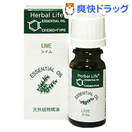 エッセンシャルオイル ライム(10mL)【生活の木 エッセンシャルオイル】[アロマオイル]