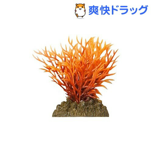 アクアティックプランツ S-3(1コ入)【アクアティックプランツ】[熱帯魚 アクアリウム 水草]