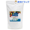 ホタテのおくりもの(1kg)【送料無料】