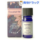 ガイア エッセンシャルオイル サイプレス(5mL)【ガイア(GAIA)】[アロマオイル]