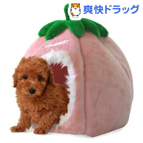 ں߸˸¤ۥڥå/ڥåĥ롼 ե롼ĤǤ䤹  1...
