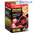 エキゾテラ ヒートグロー 赤外線照射スポットランプ 75W ...